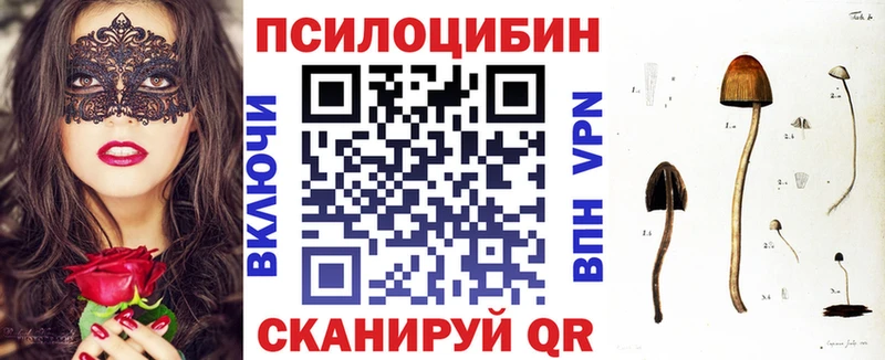 Галлюциногенные грибы Cubensis Нюрба
