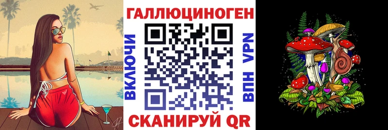 купить наркотик Нюрба Галлюциногенные грибы GOLDEN TEACHER